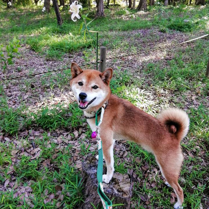 5cc25cbf 258a 4f8f a624 2eba50022c29 1626339122372