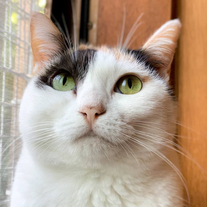 5cc2630d ed6f 4bab a5fc 50bc0371639d 1603159423581