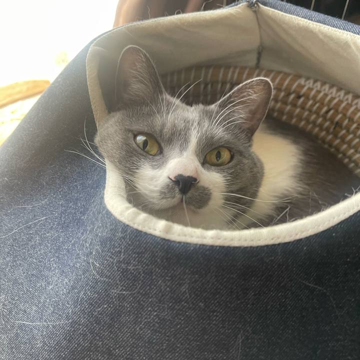 5cc28b6c 2a81 4879 be83 1888871142a5 1744416648573