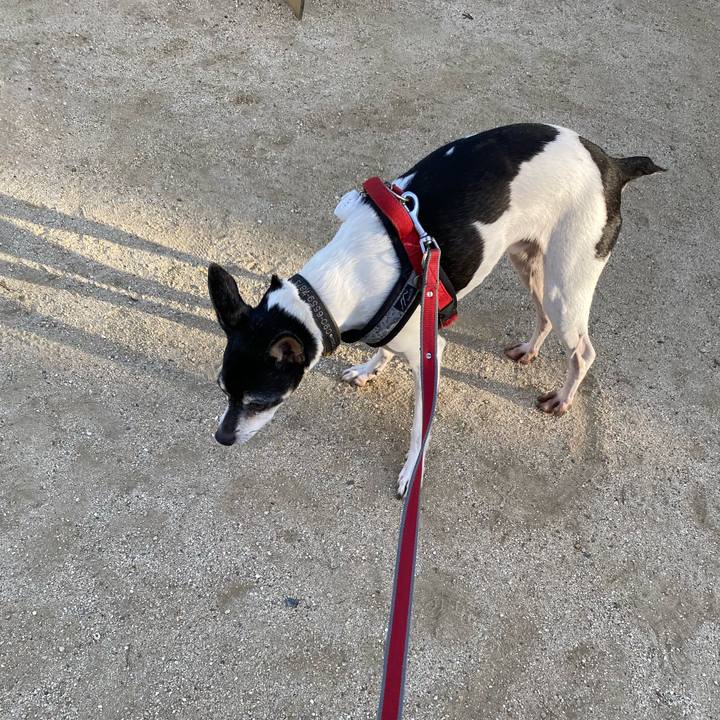 5cc2a526 3112 4dbb 82bf c0bef77a7d25 1589320147403