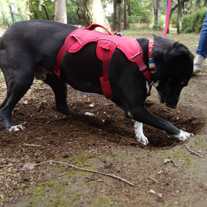 5cc2a9cb ae6b 48aa 893a f211f2258873 1603153712048