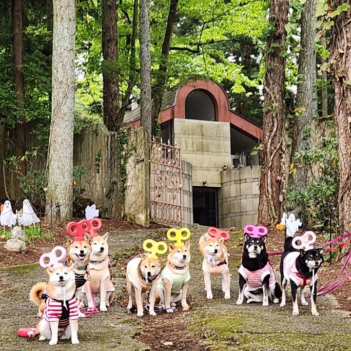 5cc2ae54 94ea 41f9 bef1 4bba6e9f649f 1727704145545