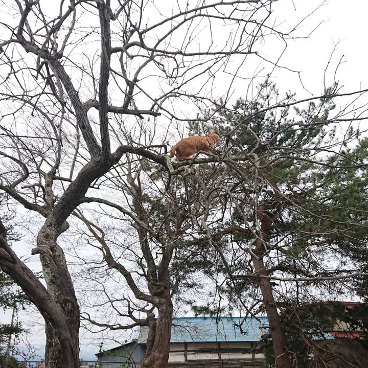 5cc2af6c dcd4 4ce5 bfa1 0629b84792d2 1650272136734