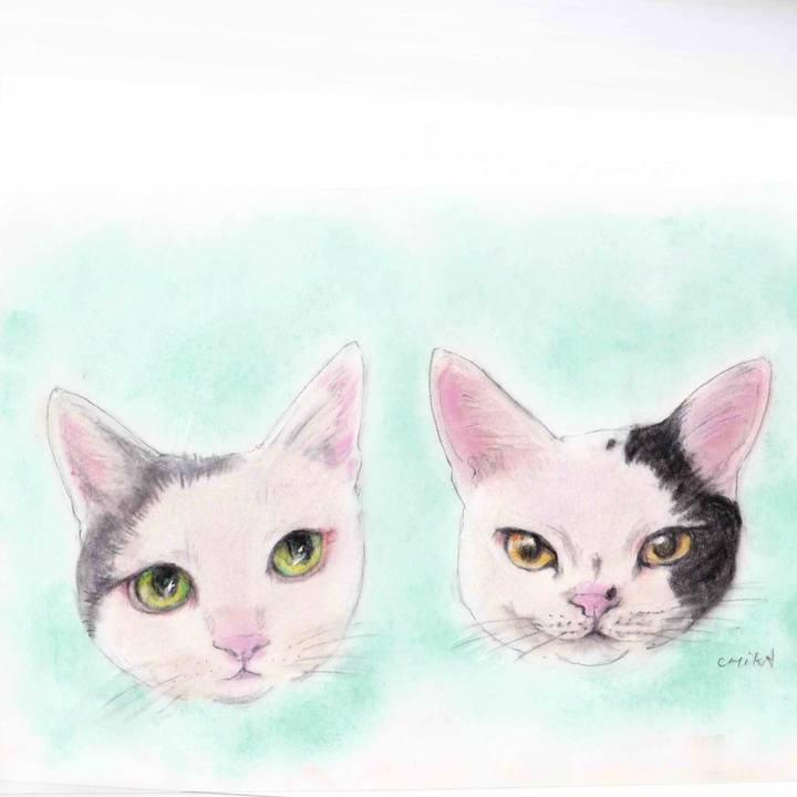 5cc31ae3 62c3 47be 84c2 dcb1cc0a2fc2 1608641954790