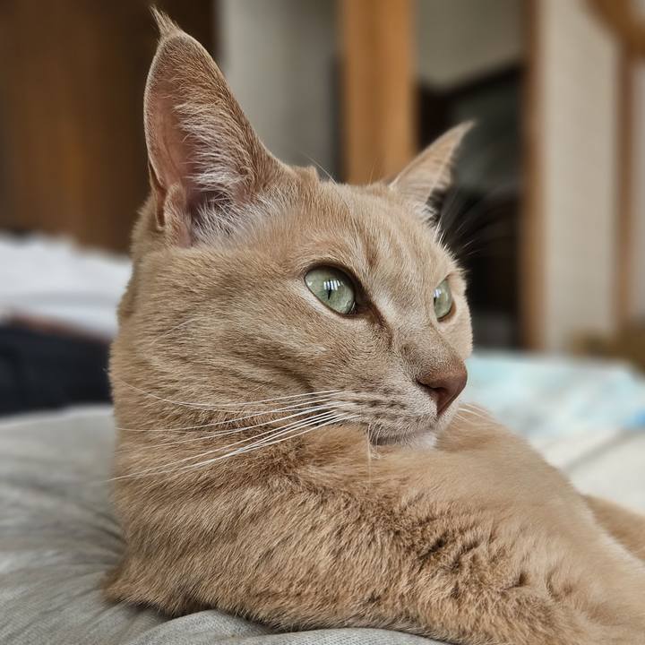 5cc386a4 65d8 403b 836a 64c8bb8e7243 1735353071604