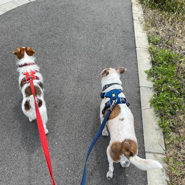 5cc3a45f d45a 4442 83a2 5a9255018d03 1648878278187