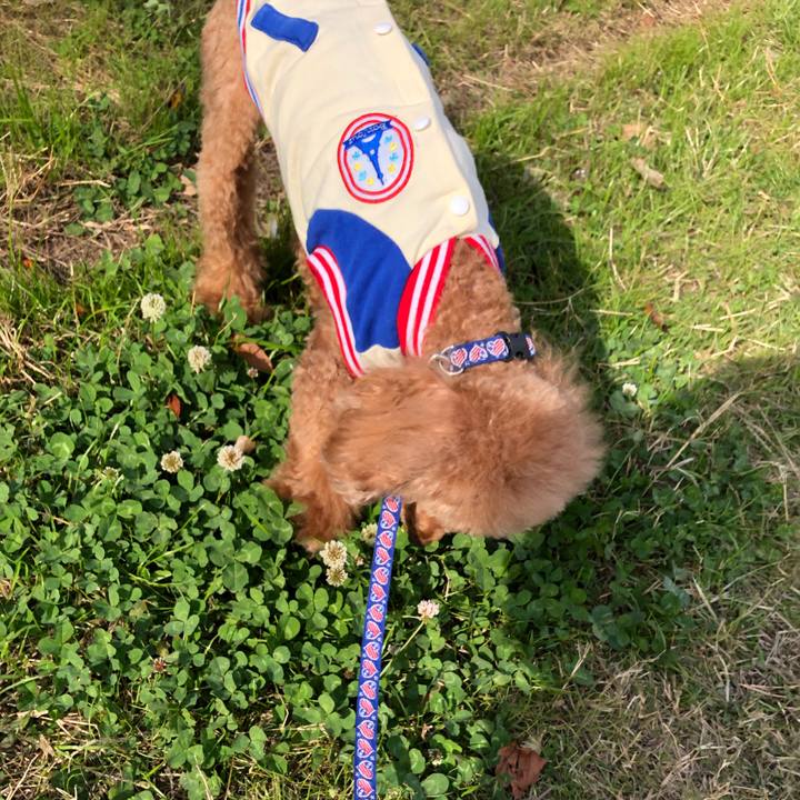 5cc3ba6d e4a7 4767 8b65 05d2e731699a 1637543768504