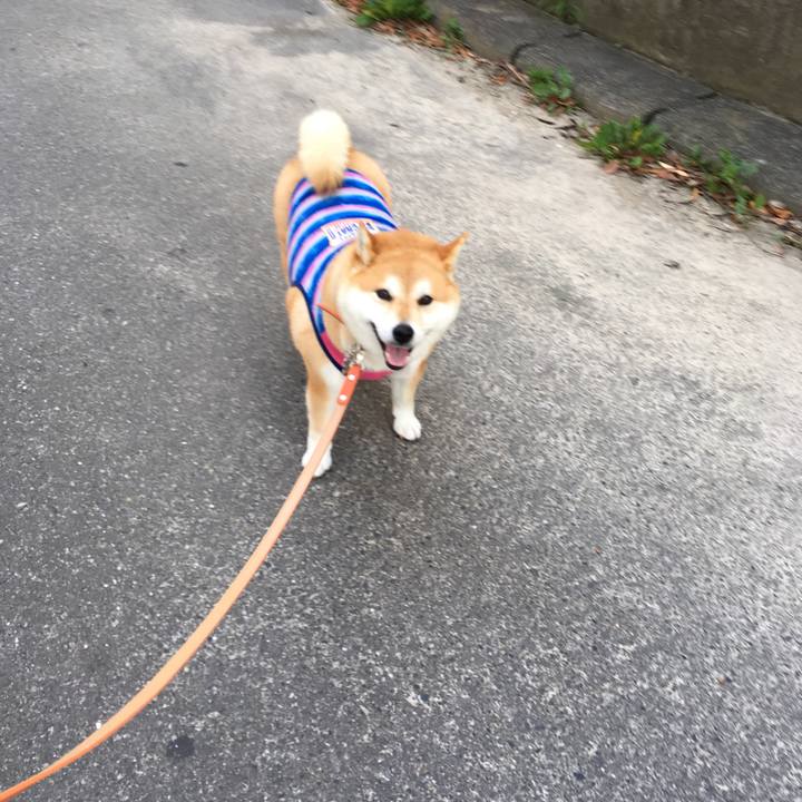 5cc3c8e7 c870 407f a246 e99acfdf9bda 1564526938244