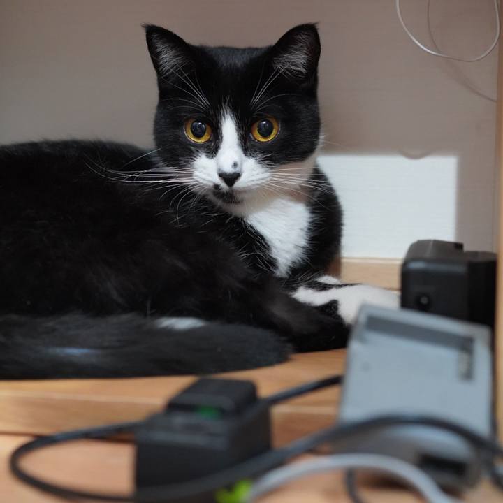 5cc3ef5c a88b 4513 aff2 69ffb315bfd2 1627625026384