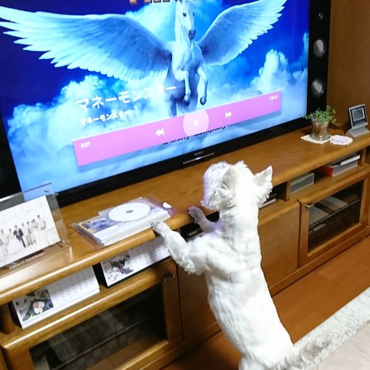 5cc3efe6 4665 4bba 9646 765866f222eb 1515932318406