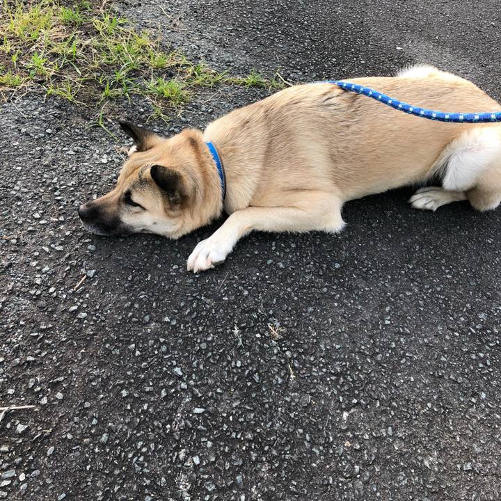 5cc40434 5077 4385 b833 17af79bc0bf7 1524484676199