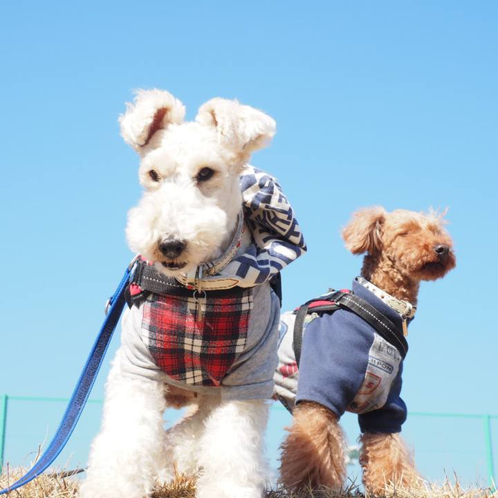 5cc43250 6abe 4249 8515 8bb925910f53 1552103898171