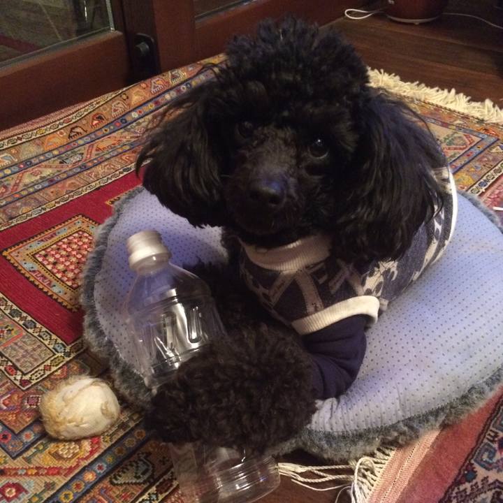 5cc45d00 7101 4d10 9916 98e0a5b33a4b 1547815539308