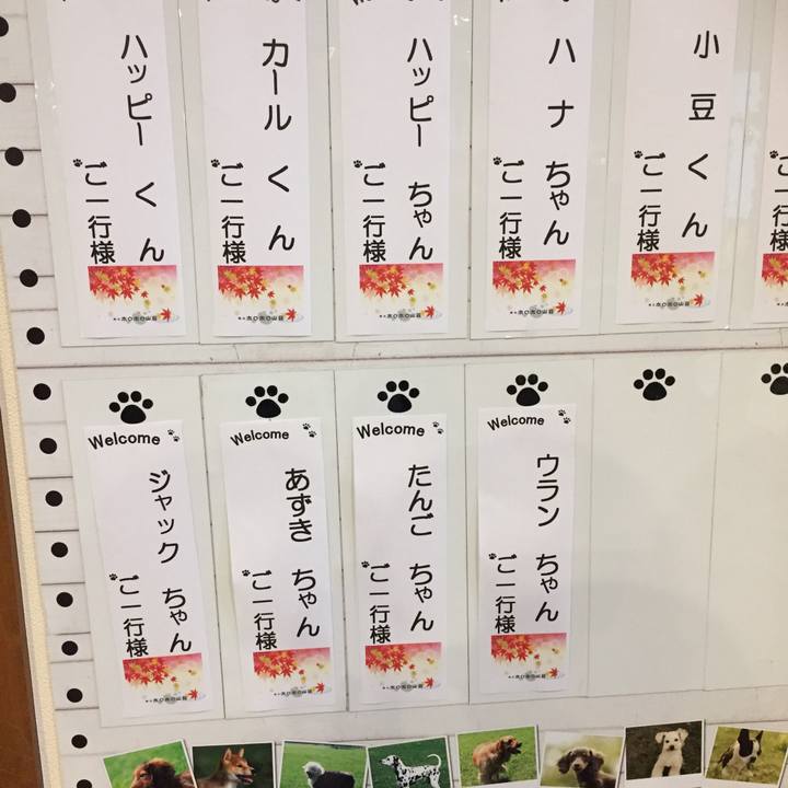 5cc4666f c90a 41b4 b1f1 857934edf14a 1508483043624