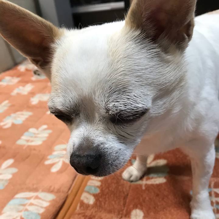 5cc466ce aa0a 4fe4 b5b7 4ace406374f1 1542891802970