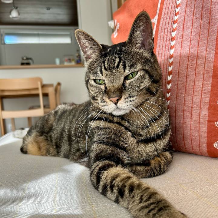 5cc4849e 6a26 45e9 8d52 1236f3d9dfde 1765597045329