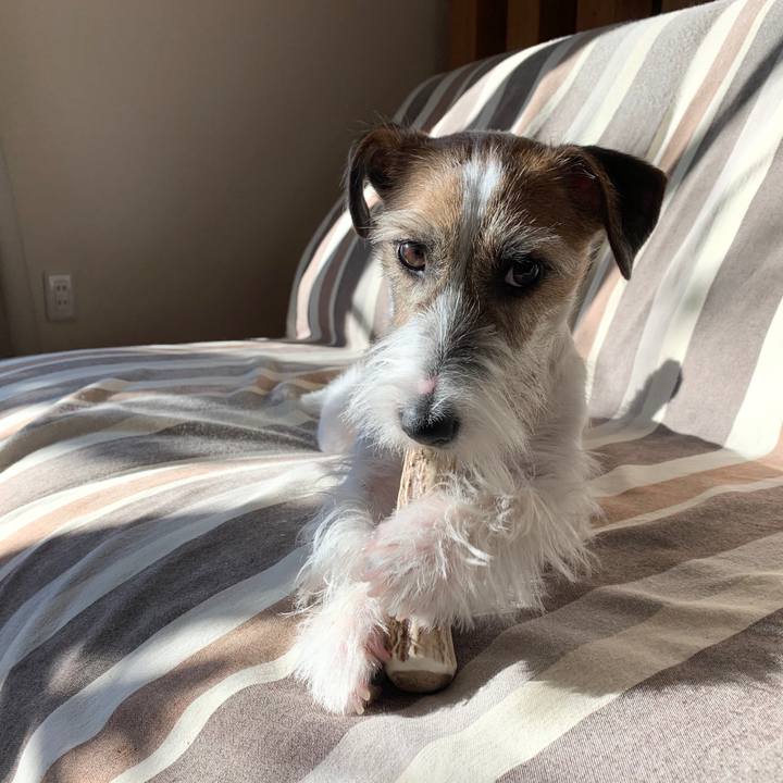 5cc4c1e5 0b95 463f aef2 0d1cbd047c23 1576454770608