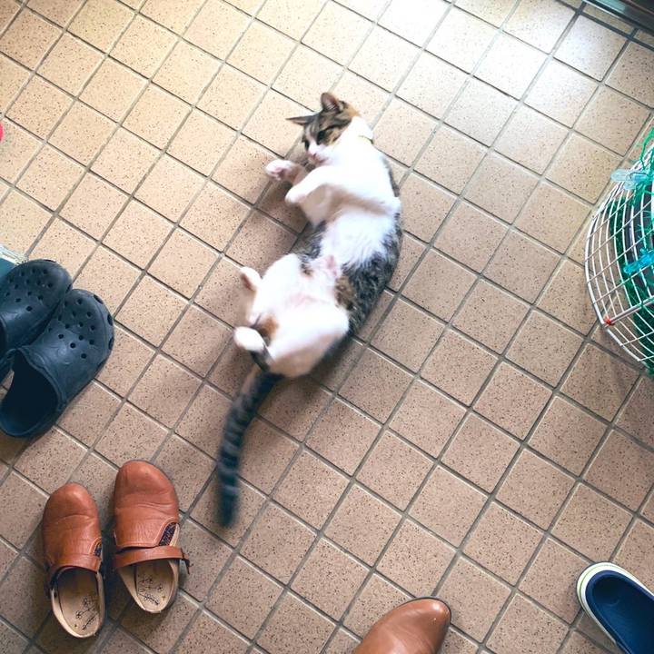 5cc4eb8a d227 4b31 8784 b614a92f3495 1575038715276