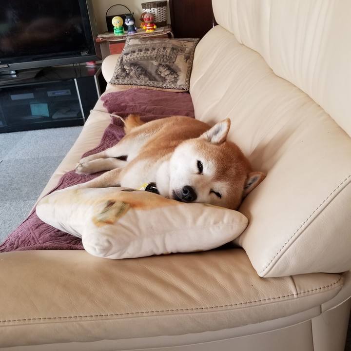 5cc4f917 fdc8 4ae1 badc 1210cdcb46ab 1649820890438