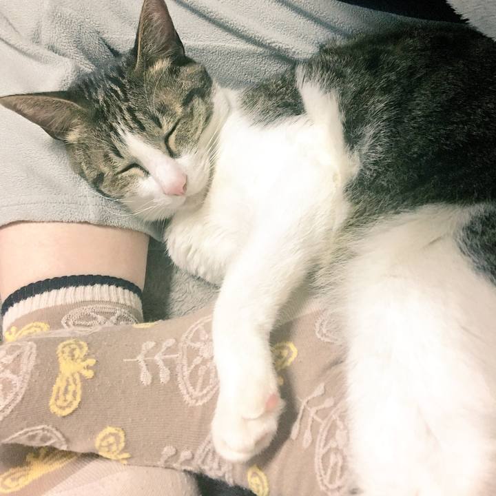 5cc50fe4 2594 4b01 a3a4 449a1a12e2e6 1543673664798