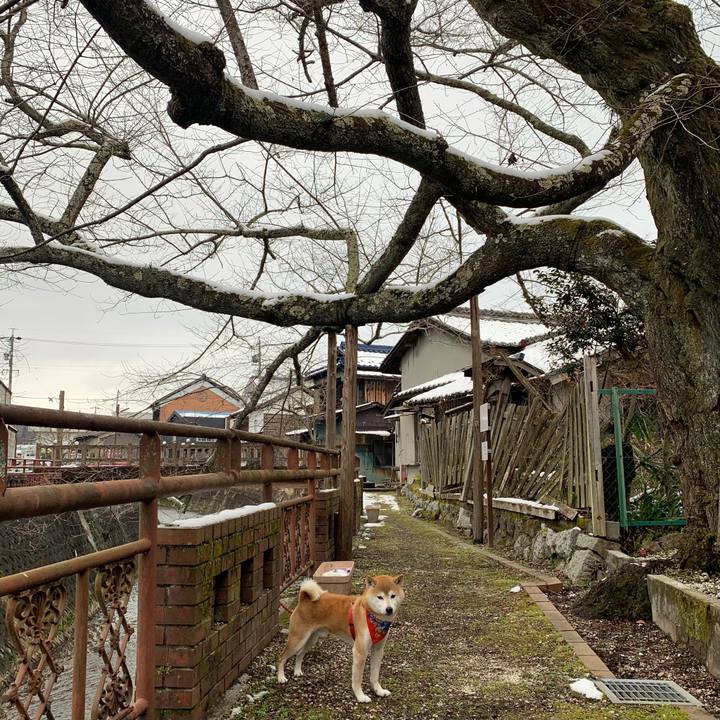 5cc51e26 1ff0 4901 9b3b d79ea759b469 1609837561047