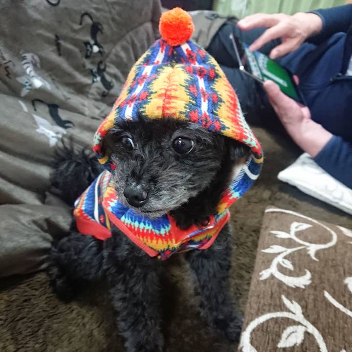 5cc53800 824d 4467 9f92 e453bd546164 1576937627036