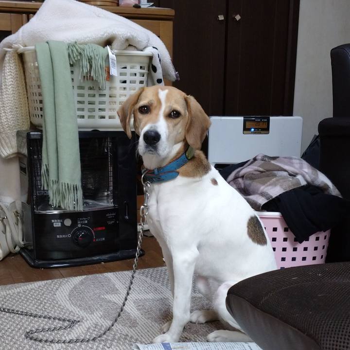 5cc53da3 bf27 4a51 97fa aacef0116560 1608348423068