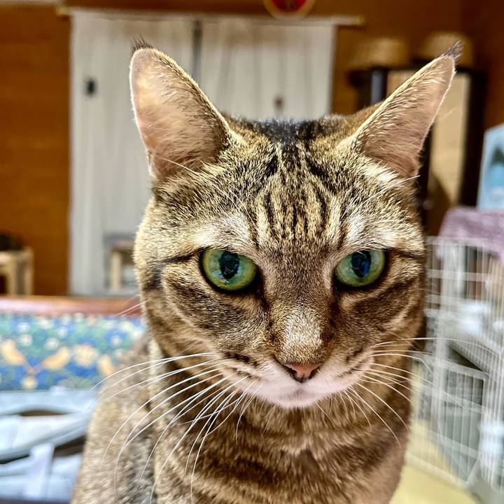 5cc56190 03cf 46fd 9630 9b604c41ee26 1762086661853