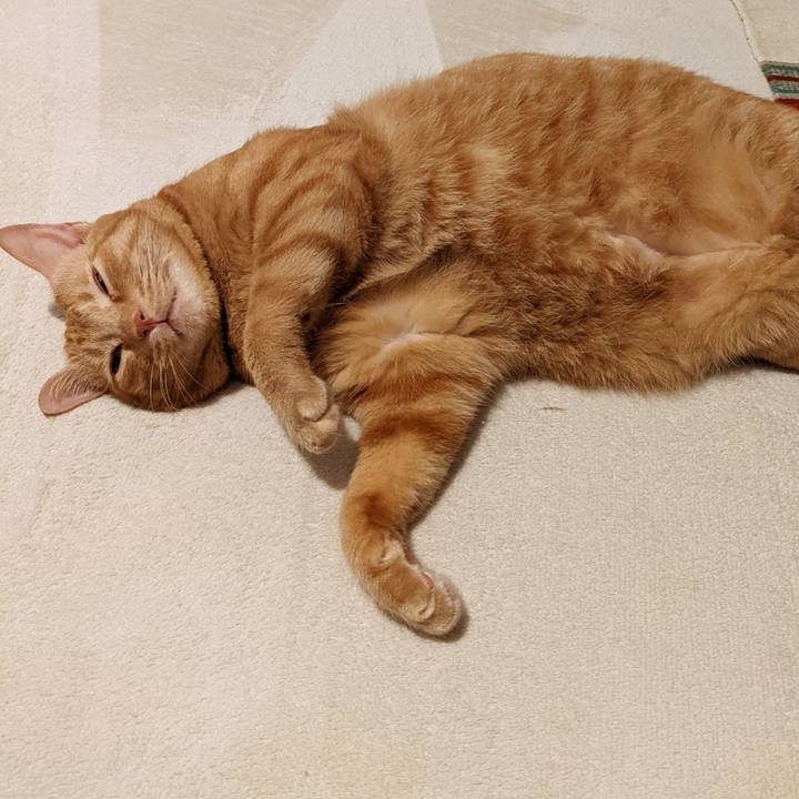 5cc5876a 2907 4874 83df ec5b13e2d7db 1662030594681