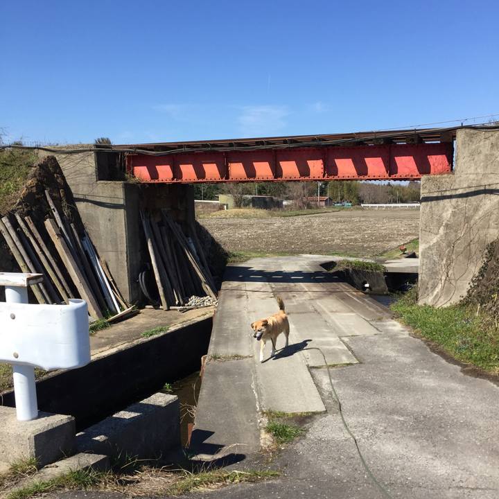 5cc58bbe 57d7 4bf4 847f 684ea06bdf16 1552129865933