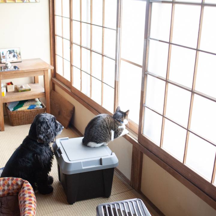 5cc5ca60 4f24 40c2 9b4c 0bb5b1e4cc94 1548764639835