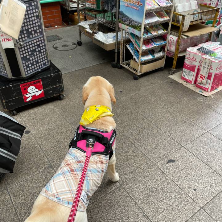 5cc5cde8 7cfb 43a9 b28d 1f00c1df3e46 1625746967182