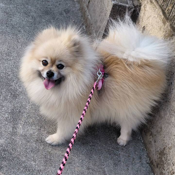 5cc5f675 c2f9 4826 a69a c03f6821d6a6 1774358892805