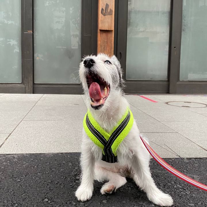 5cc6003a 9b5c 419a a1ba 828fc18325c6 1595114725788