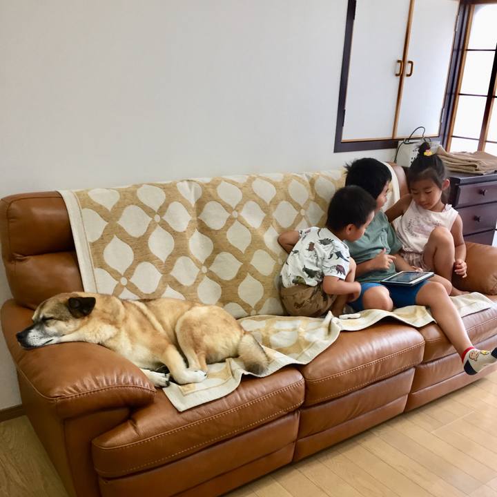 5cc61646 28f1 4c0b 90bc a8e0b6f502d2 1566042207532