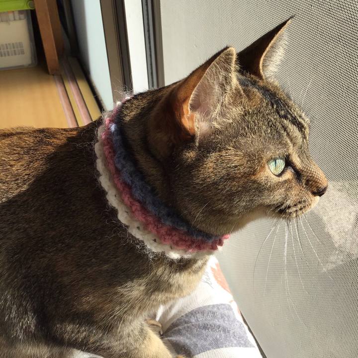 5cc61800 7a4d 4ddb b905 712c42a8633e 1618010712961