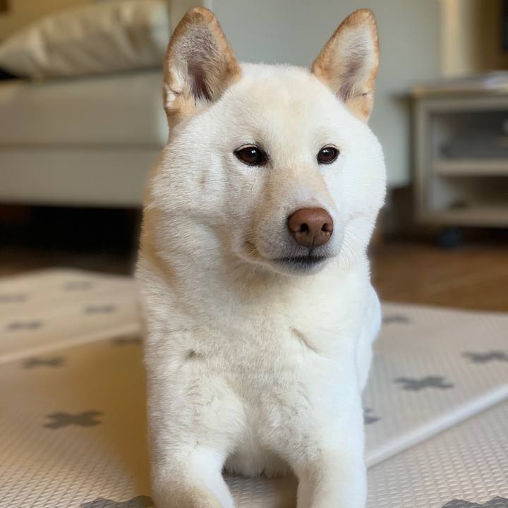 5cc6835e b521 45d5 8ef0 d2857dbe65fd 1553747406849