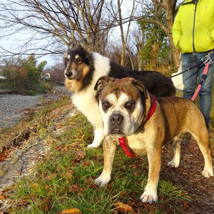 5cc6a519 4012 4c77 9eba 6d576e2ca8ab 1581950966033