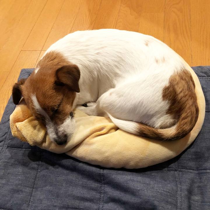 5cc6bb12 17f6 4910 8d14 e0ac17ad550c 1517923628652