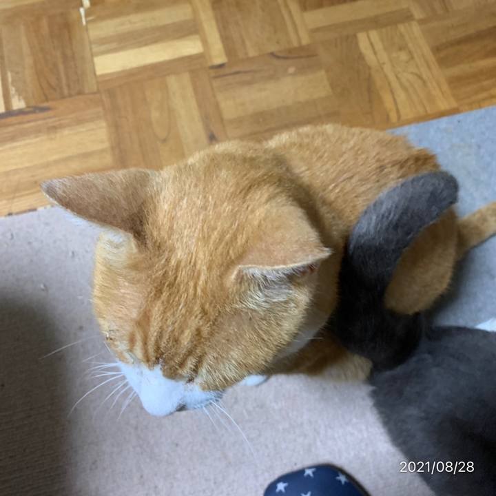 5cc6d847 cb99 4425 b0e4 7d75d2fa847d 1630148010799