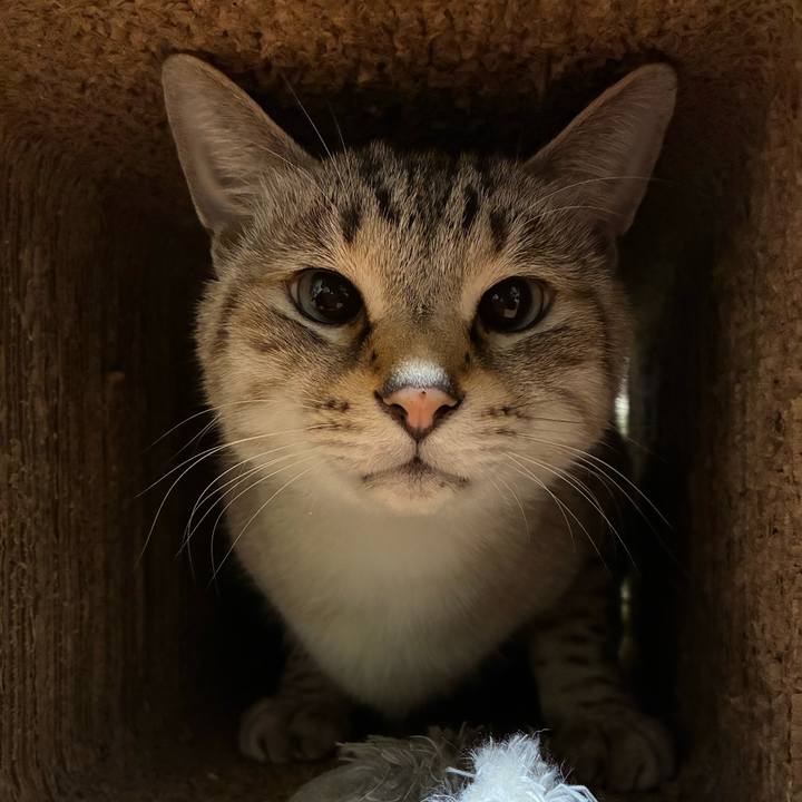 5cc6e8c5 06dc 43d3 8159 441f944e1fae 1767613307549