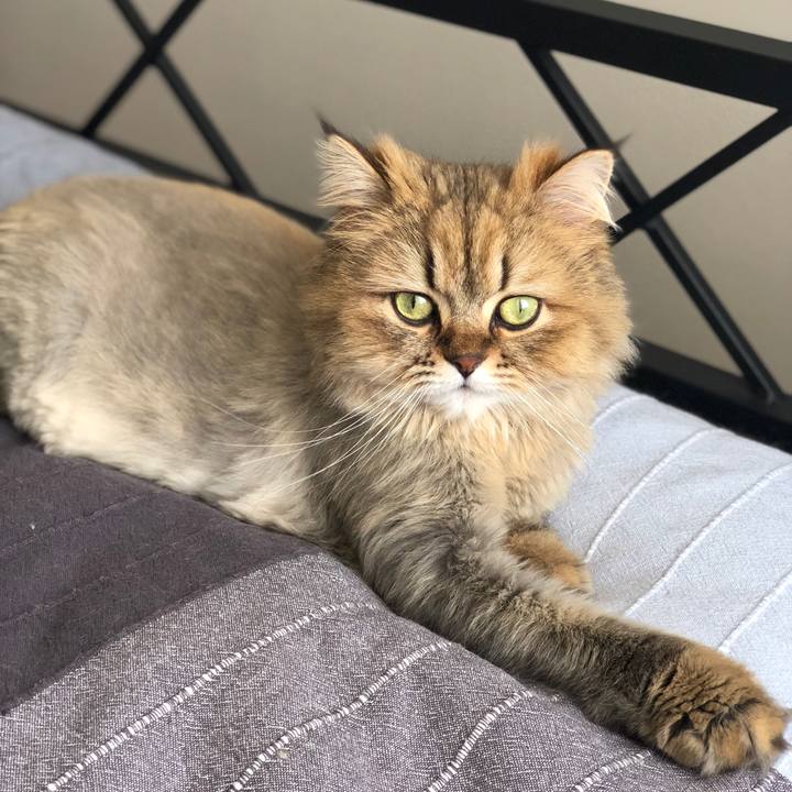 5cc70a73 5bc6 4c5f ba7d c867013d44aa 1526276913329