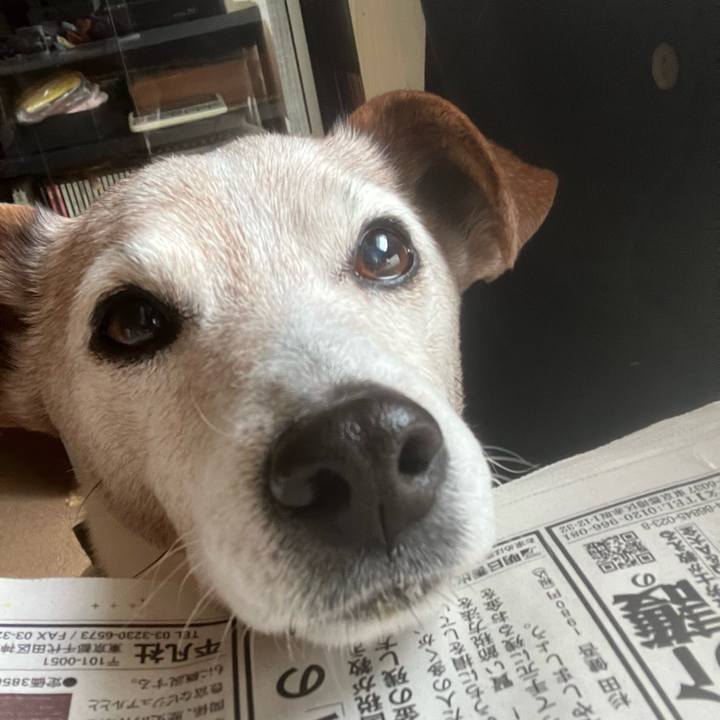 5cc736af 6761 4efb abdd bf6926888e69 1768867747725