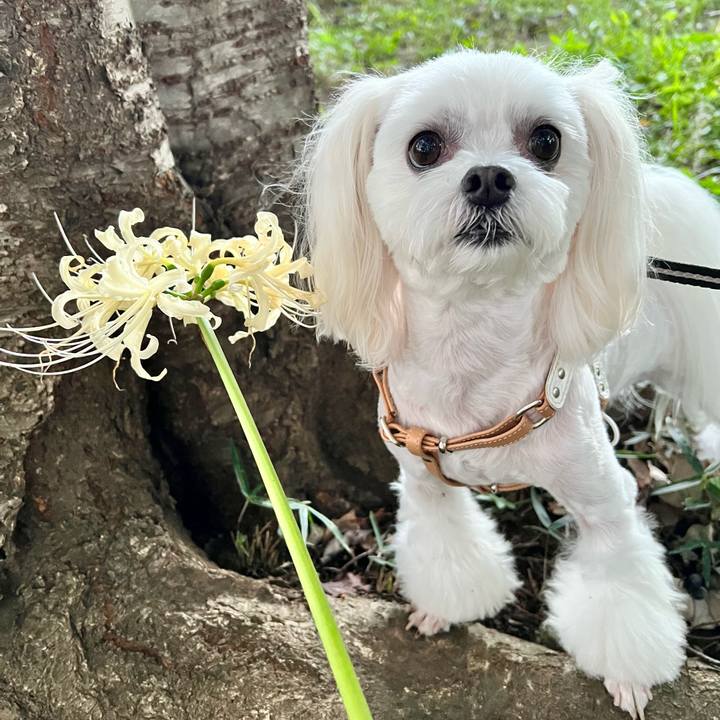 5cc73b95 1ffc 40ee 81c8 b47b852963b3 1664251335340