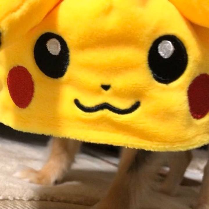 5cc744be a8a6 473c 8af8 be1fe8b7032b 1577796940253