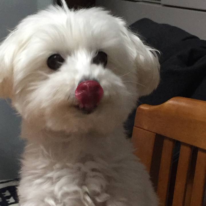 5cc75cf7 b9ab 4035 96fd 37ebc8b06032 1519128479176