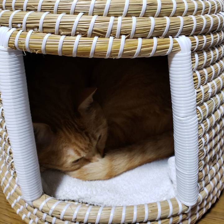 5cc76dc0 ef9d 4385 b56e a0006ca48ec3 1721618459500