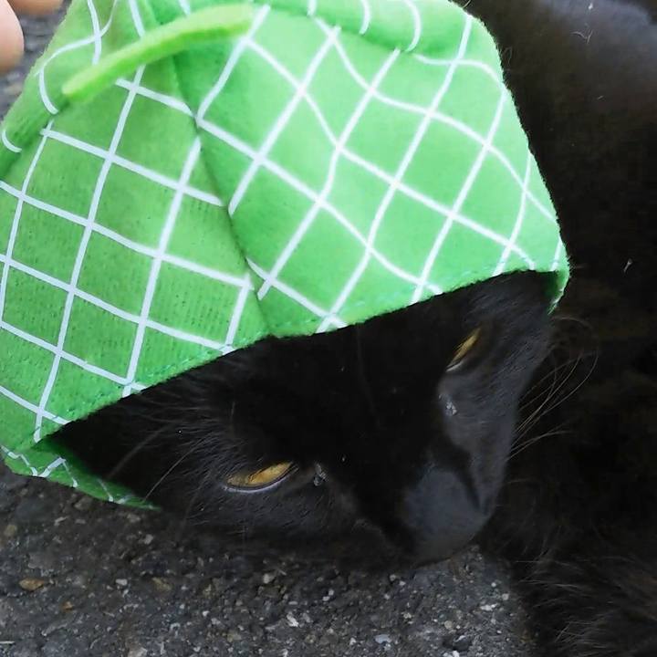 5cc77d39 95a0 4ec0 b65a 3769dad4d11f 1558068632399