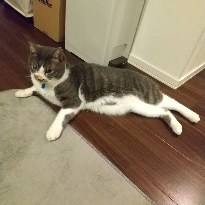 5cc7f261 2941 47b6 9483 c84c035cc94b 1606427113852