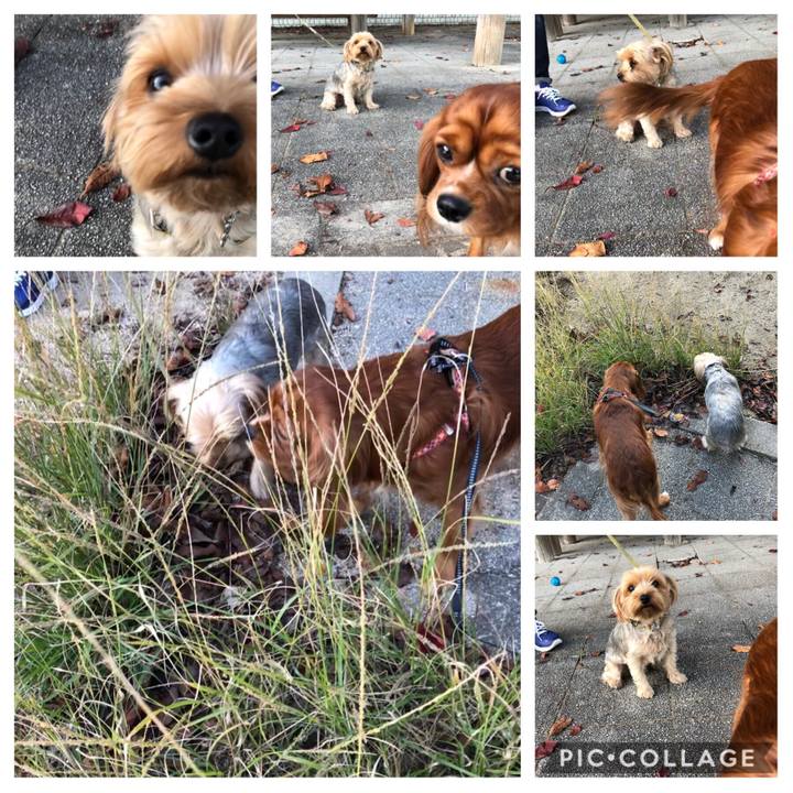 5cc82711 5888 4654 bb0a 764b60e19123 1572683260081